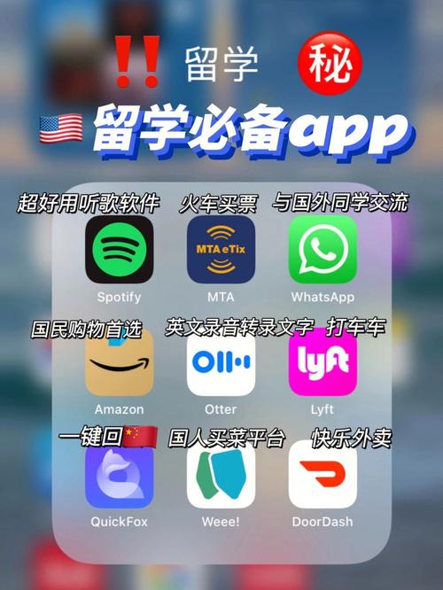 手机下载纸飞机怎么登录不上去:纸飞机软件为什么在中国连不上网