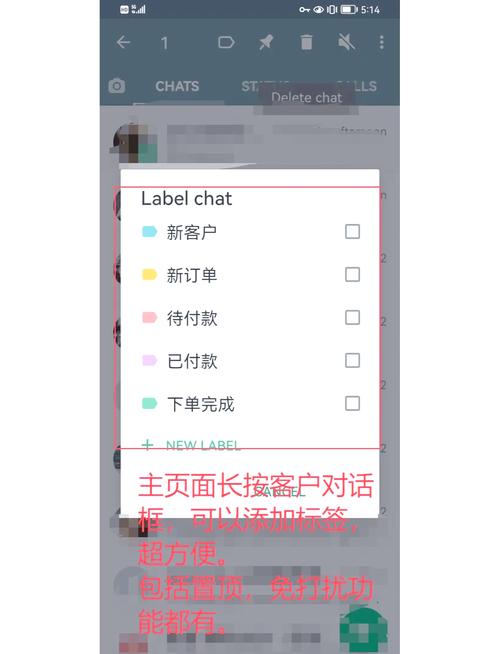 whatsapp国际版怎么使用:whatsapp国外版本怎么下载