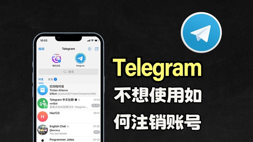 telegeram中国入口:telegeram中文版入口