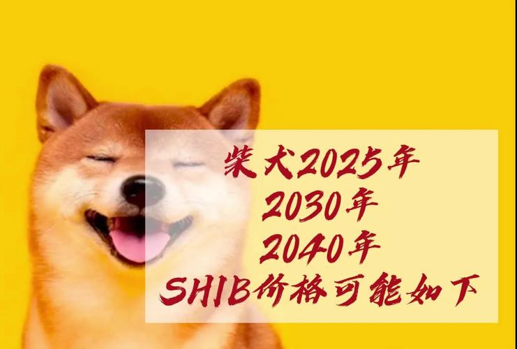 买了一千万柴犬币:柴犬币一共涨了多少倍