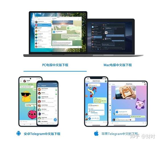 telegraph加速器:telegraph加速器安卓下载