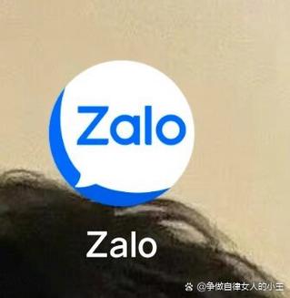 越南聊天软件zalo下载安装:越南聊天软件zalo下载安装苹果版