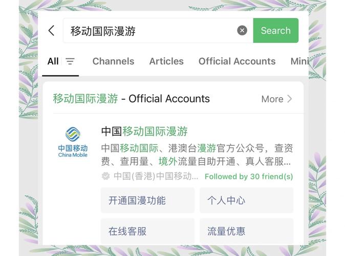 国际短信验证码平台:国际短信验证码平台ins