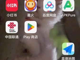 谷歌商店闪退:谷歌商店闪退是什么原因