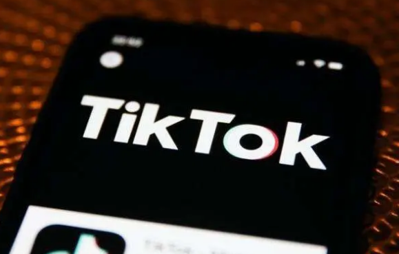 国外比较开放的视频软件TikTok,国外比较开放的视频软件TikTok下载