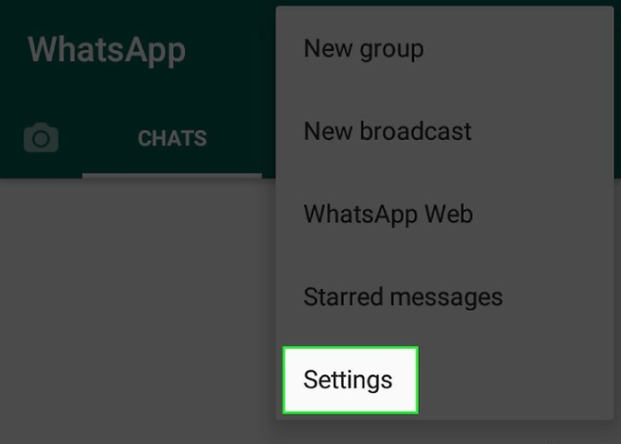 whatsapp页面图片,whatsapp的图片看一下就保存下来了