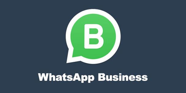 关于whatsappbusiness安卓下载安装2023的信息