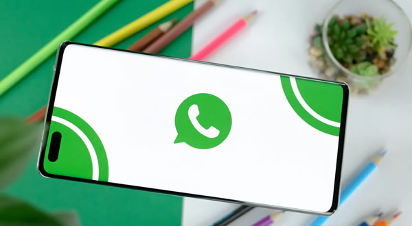 whatsapp和skype哪个好用，whatsapp和whatsapp business区别