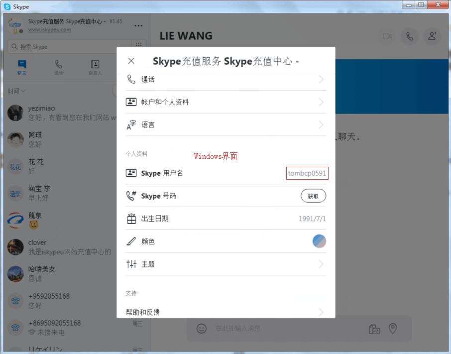 skype中文是什么，skype英语是什么意思