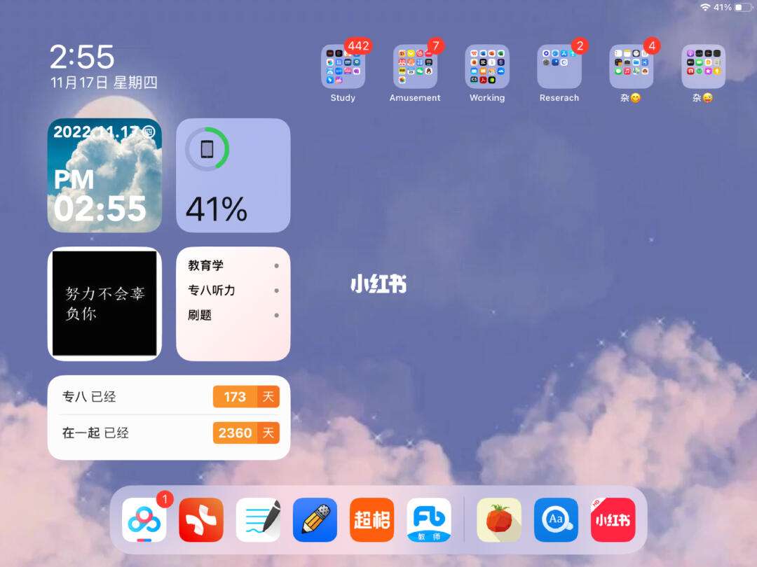 ipad梯子哪个好用，苹果免费加速器ios下载