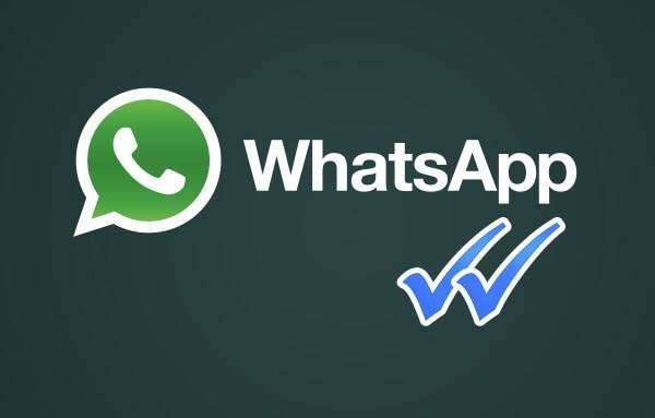 whatsapp如何读，whatsapp如何读取联系人