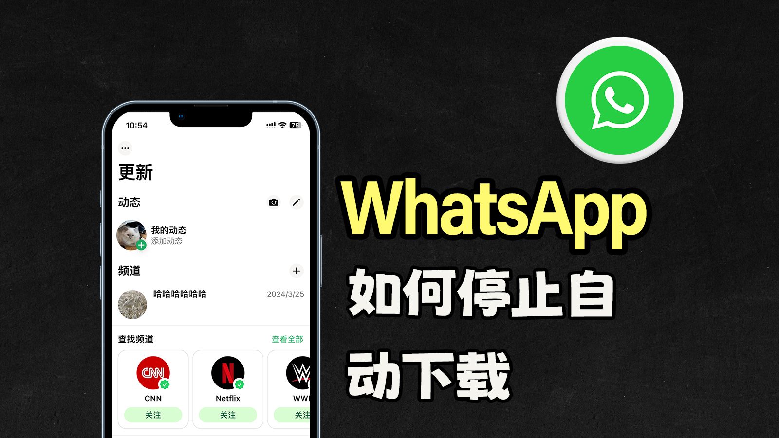 whatsapp中文版官方网下载，whatsapp官方安卓中文版下载