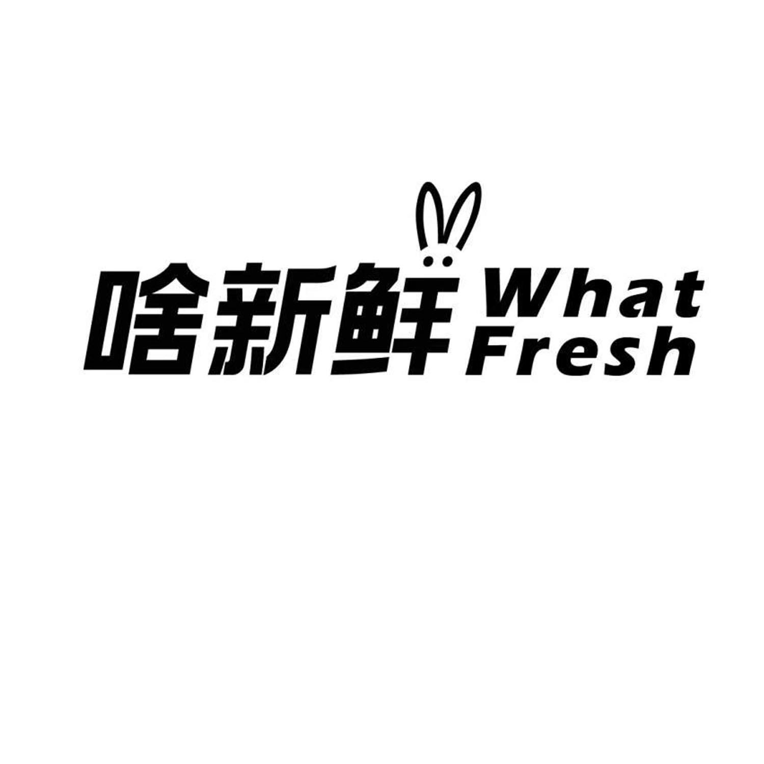 what中文叫什么名字，what中文叫什么名字来着