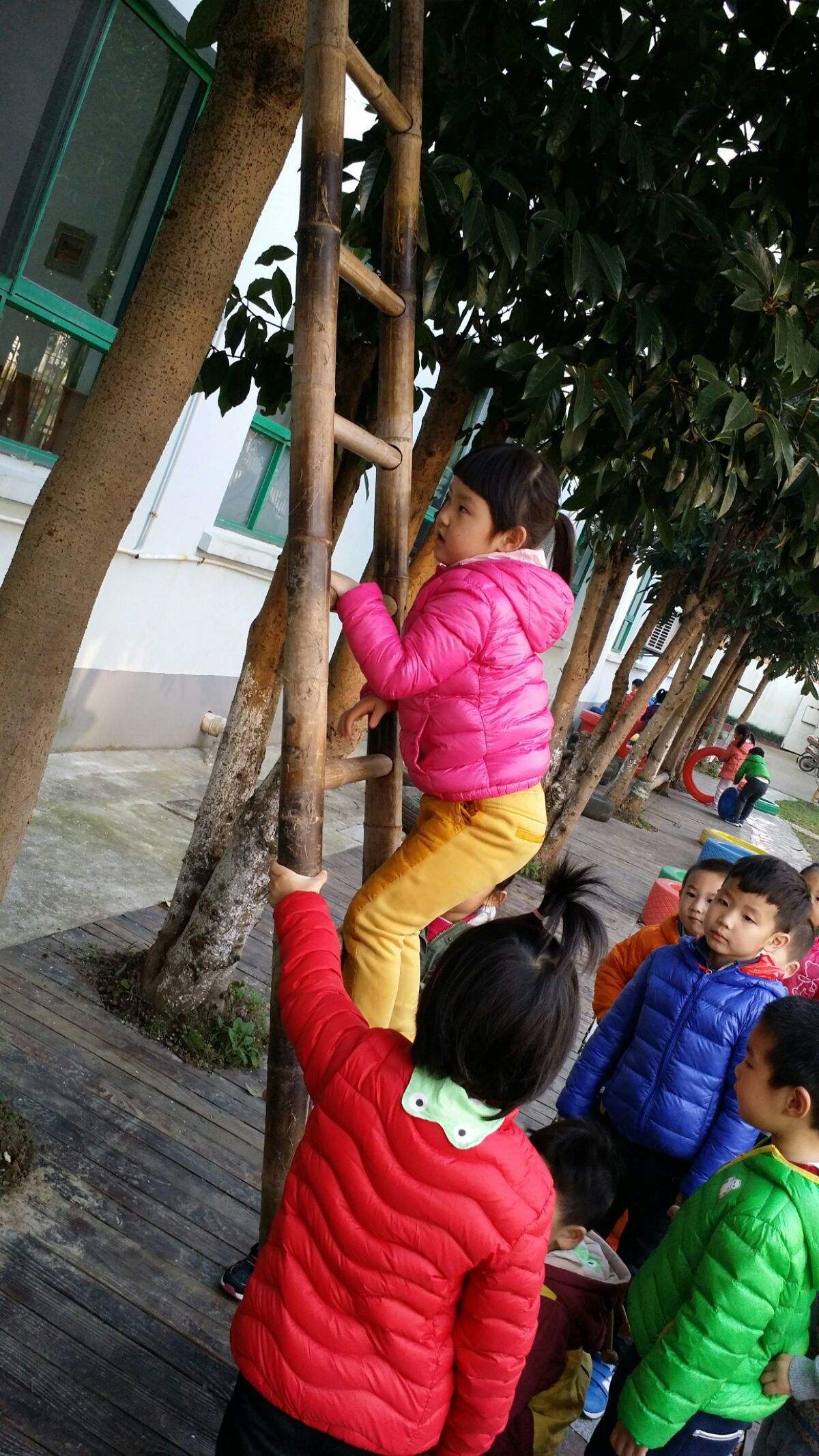 爬上梯子怎么写，爬梯子的句子怎么写