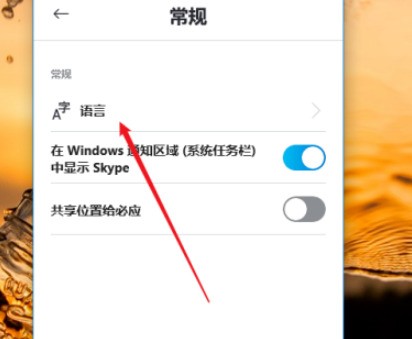 skype国内版能和国外联系吗，skype国内版能和国外联系吗安全吗