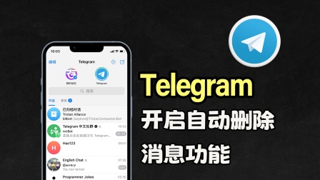 苹果telegreat注册参数设置，苹果版telegreat中文怎么设置