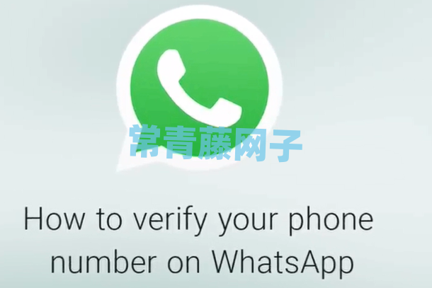 whatsapp中文名，whatsapp中文怎么说