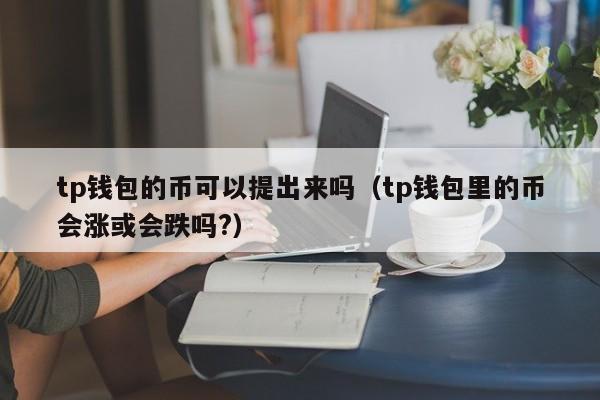 交易所的币怎么提到tp钱包，如何把tp钱包的币提到交易所