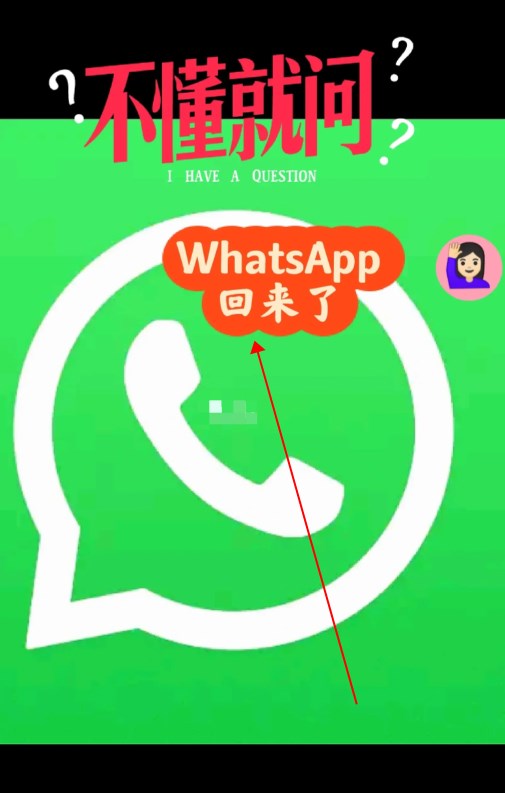 whatsapp下载最新版安装，whatsapp最新版安卓下载安装