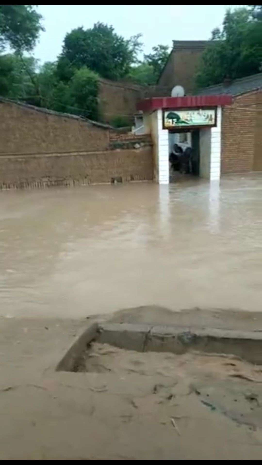 包含强降雨造成通渭部分乡镇受灾的词条