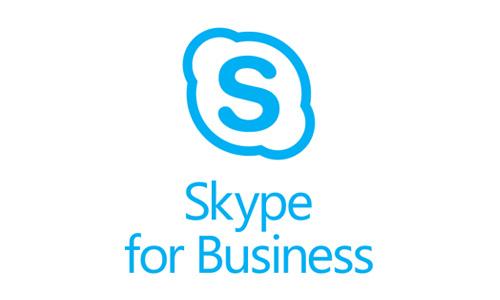 英文skype是什么意思，skype什么意思中文翻译