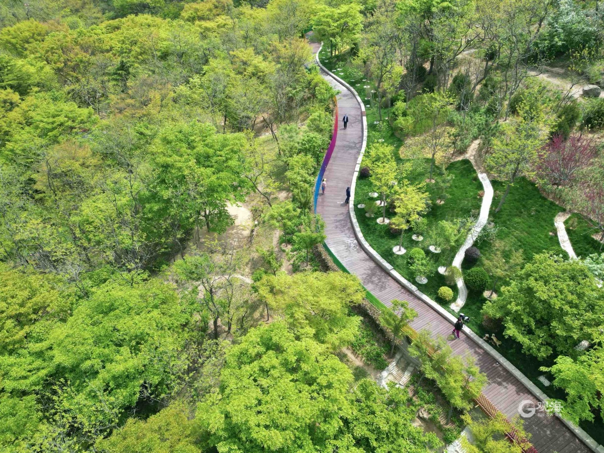 青岛浮山巷附近路面出现塌陷，青岛浮山巷附近路面出现塌陷 有关部门已准备修缮