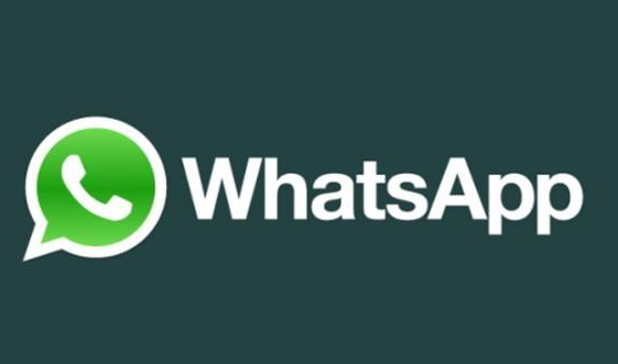 whatsapp怎么加好友，whatsapp怎么加好友聊天