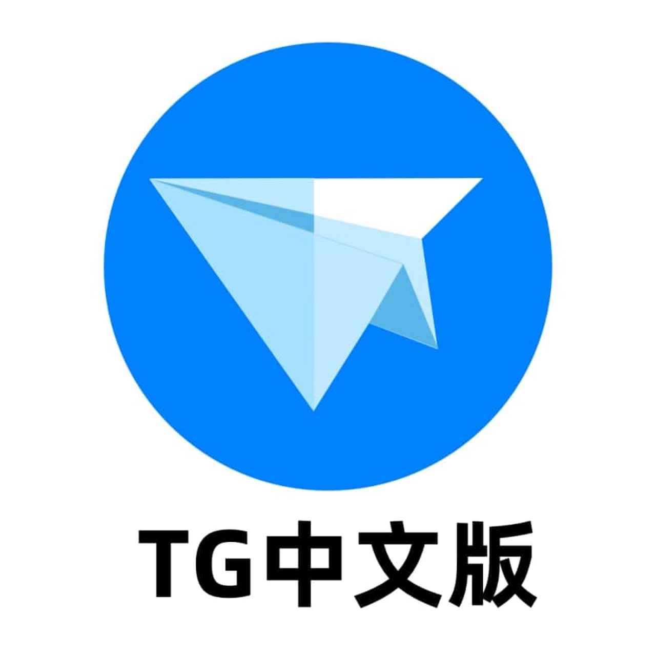 纸飞机中文安装包，telegraph官网入口下载