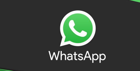 whatsapp安卓新版免费下载，whatsapp下载安装 安卓 手机版