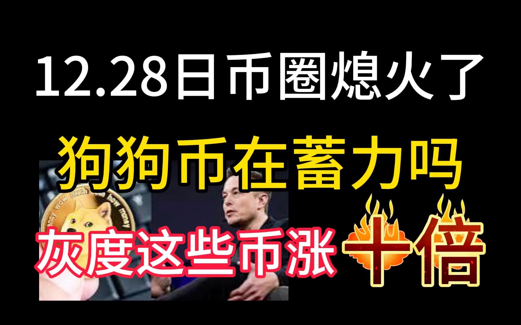 狗狗币翻了26万倍过程,狗狗币正在大涨会是下一个千倍币吗?